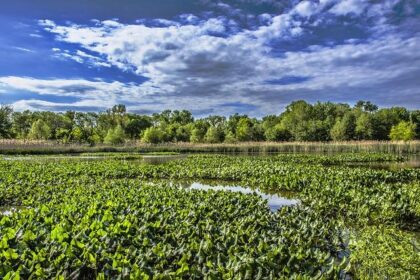 City Launches Major Crackdown on Illegal Dumping in Philly’s Pennypack Park