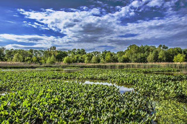 City Launches Major Crackdown on Illegal Dumping in Philly’s Pennypack Park
