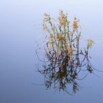 Several water main breaks in Philly on Sunday cause concerns over icy roads – NBC10 Philadelphia