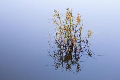 Several water main breaks in Philly on Sunday cause concerns over icy roads – NBC10 Philadelphia