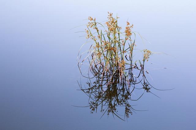 Several water main breaks in Philly on Sunday cause concerns over icy roads – NBC10 Philadelphia