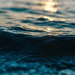 Experience Ultimate Coastal Living: Tranquility in the Gardens