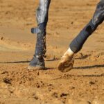 YBC Member Pleads Guilty in Federal Gun Case