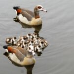 Top Spring Festivals and Fairs in Philly Perfect for Family Fun