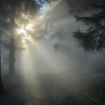 Foggy Tuesday Morning Commute Expected in Philadelphia Area Before Temperatures Rise: Weather Forecast