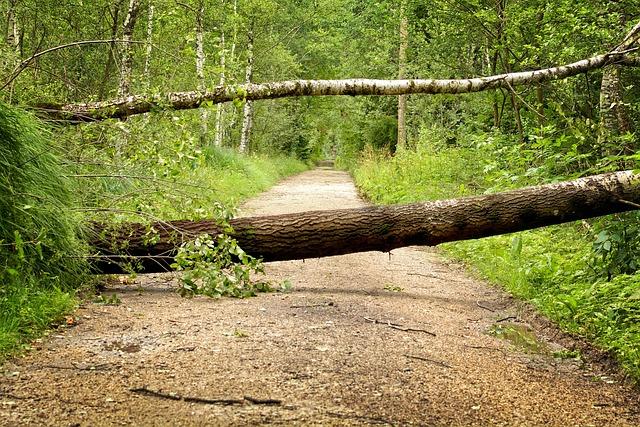 Pottstown Faces Major Impact as Severe Storms Batter Philadelphia Region