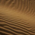 War in Iran: UPenn Professor Explores Political and Economic Fallout