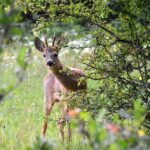 Bucks County Poised to Become the Heart of the Political Universe Once More