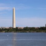 Why Washington’s Iconic Reflecting Pool Has Turned from ‘US Blue’ to Algae Green