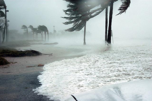 Rainy Weather in Houston Eases After Flooding and Tropical Storm Rainy Weather in Houston Eases After Flooding and Tropical Storm