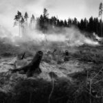 ‘Nightmare Situation’: At Least 700 Structures Destroyed in Devastating Washington Wildfires