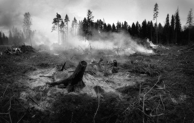 ‘Nightmare Situation’: At Least 700 Structures Destroyed in Devastating Washington Wildfires ‘Nightmare Situation’: At Least 700 Structures Destroyed in Devastating Washington Wildfires
