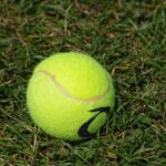 Draper Withdraws from Washington Open After Suffering Arm Injury