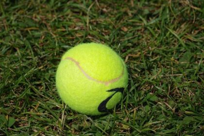 Draper Withdraws from Washington Open After Suffering Arm Injury