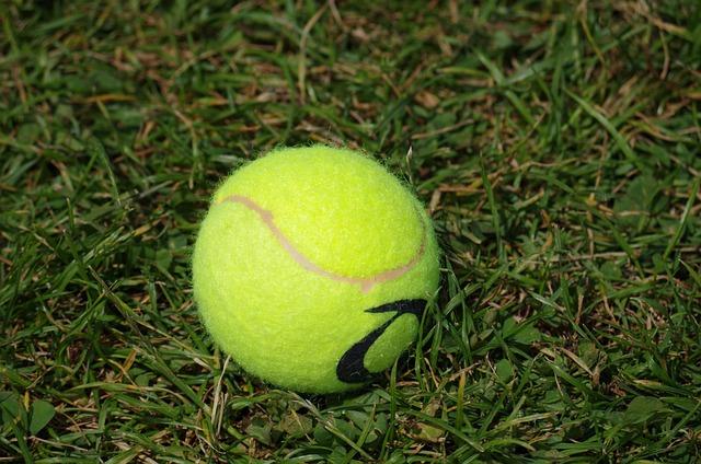Draper Withdraws from Washington Open After Suffering Arm Injury