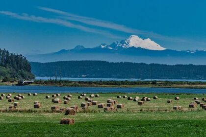 Man Charged With Sparking Washington’s Largest-Ever Wildfire