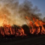 Spokane Wildfires Explode in Size, Forcing 65,000 Residents to Flee Their Homes