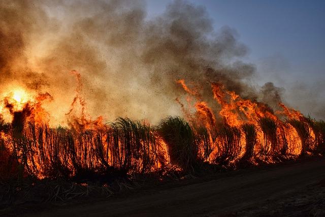 Spokane Wildfires Explode in Size, Forcing 65,000 Residents to Flee Their Homes Spokane Wildfires Explode in Size, Forcing 65,000 Residents to Flee Their Homes