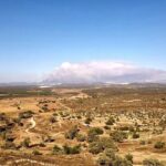 About 60,000 People Ordered to Evacuate as Wildfires Rage Near Spokane, Washington