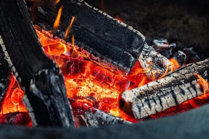 Terry Black’s Barbecue Announces Opening Date for First Houston Location as Expansion Accelerates