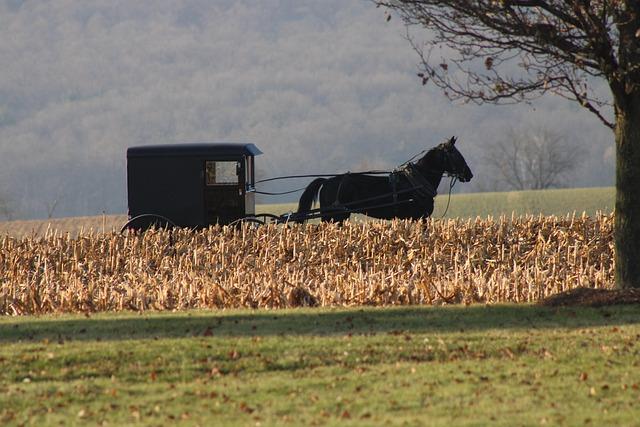 Philadelphia City Council Votes to End Carriage Horse Businesses Philadelphia City Council Votes to End Carriage Horse Businesses